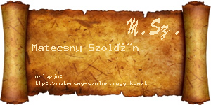 Matecsny Szolón névjegykártya